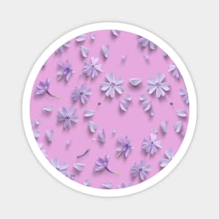 LAVENDER FLOWERS Magnet